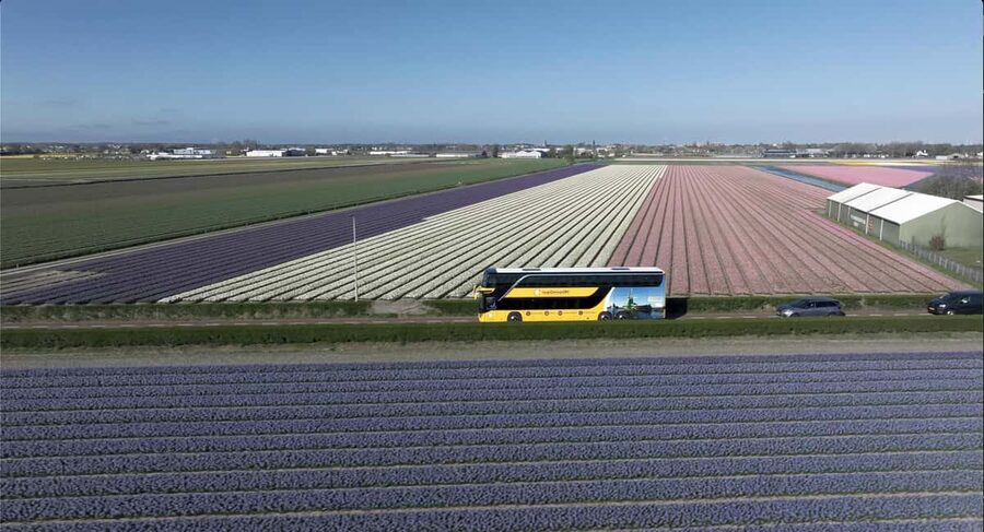 Amsterdam: Keukenhof, Tulip Farm Full-Day Tour with Cruise - Timing, crowds, and small ways to improve the day