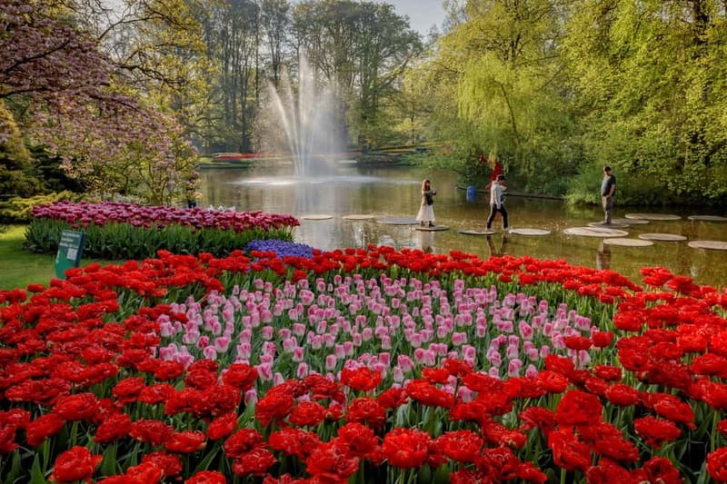 Amsterdam: Keukenhof, Tulip Farm Full-Day Tour with Cruise - How the three stops fit together