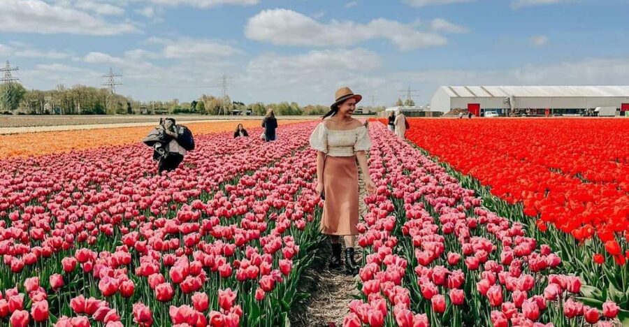 Amsterdam: Keukenhof, Tulip Farm Full-Day Tour with Cruise - What the $96 price really buys