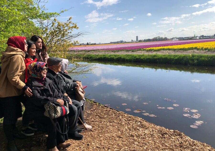 Amsterdam: Keukenhof Tulip Garden and Giethoorn Experience - The quick facts before you book