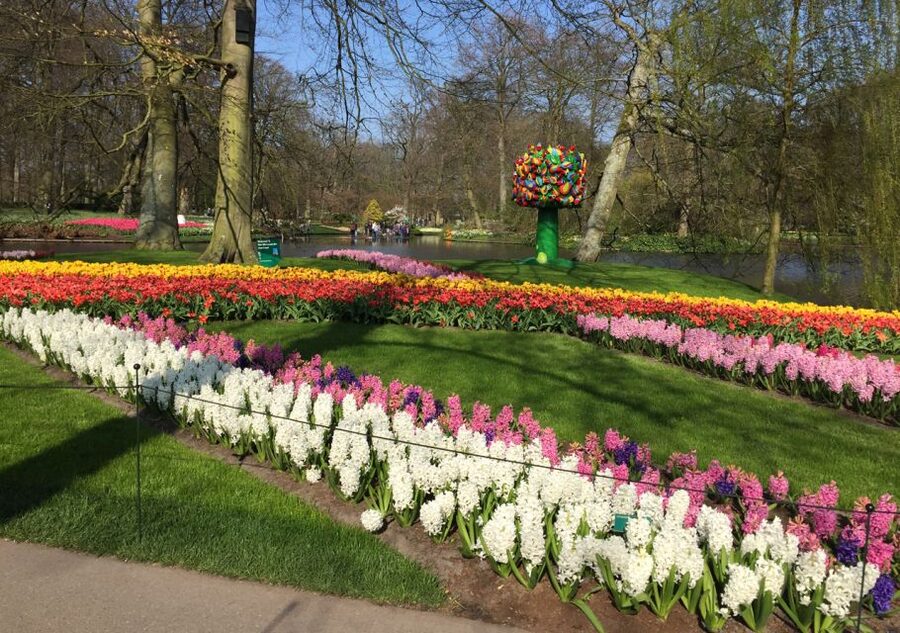 Amsterdam: Keukenhof Tulip Garden and Giethoorn Experience - Keukenhof: three and a half hours among spring flowers