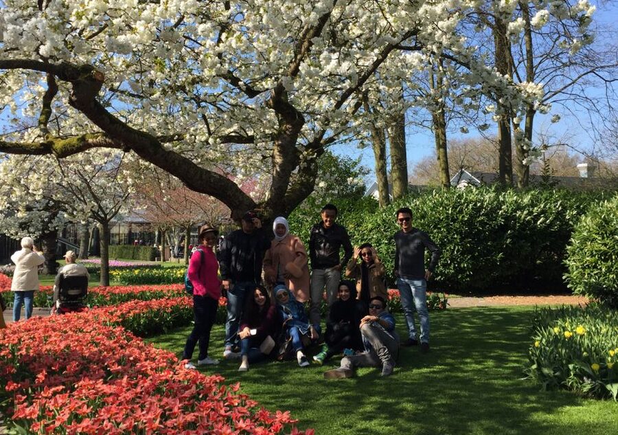 Amsterdam: Keukenhof Tulip Garden and Giethoorn Experience - Is $175 good value?