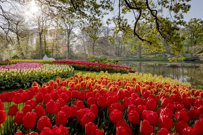 Amsterdam: Keukenhof, Zaanse Schans & Volendam Tour - Timing, comfort, and group size