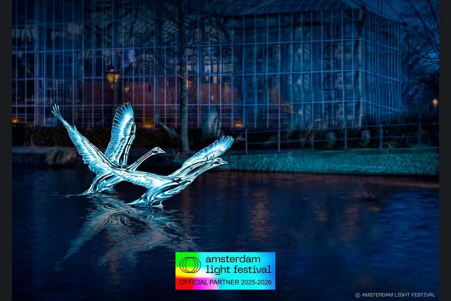 Amsterdam: Light Festival Heated Cruise with Drinks Option - Meeting beside Sea Palace near Central Station