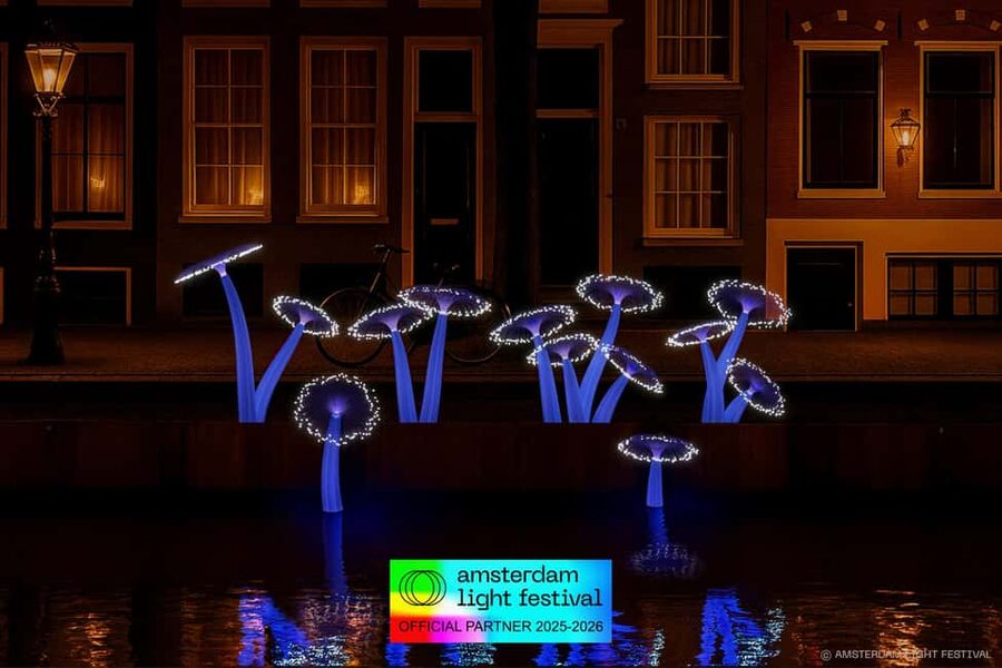 Amsterdam: Light Festival Heated Cruise with Drinks & Snacks - Drinks, snacks, and the real value of the package