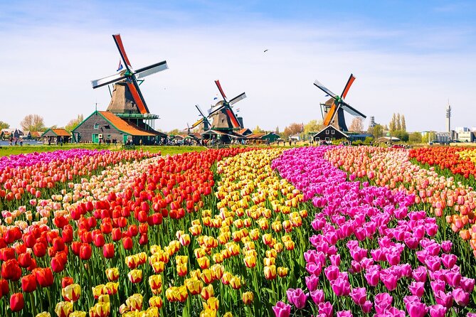 Amsterdam Pass: 45+ Things To Do - Includes Rijksmuseum - Museums and attractions for families