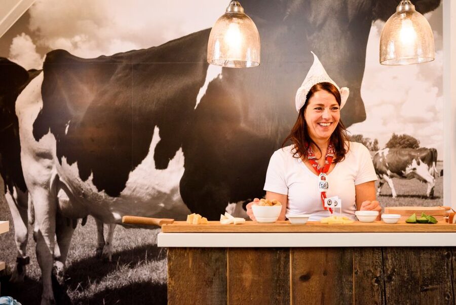 Amsterdam: Premium Henri Willig Cheese Tasting Experience - Key points to know before you go