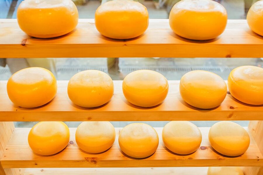Amsterdam: Premium Henri Willig Cheese Tasting Experience - Three dips, mustard, crackers, and the art of pairing