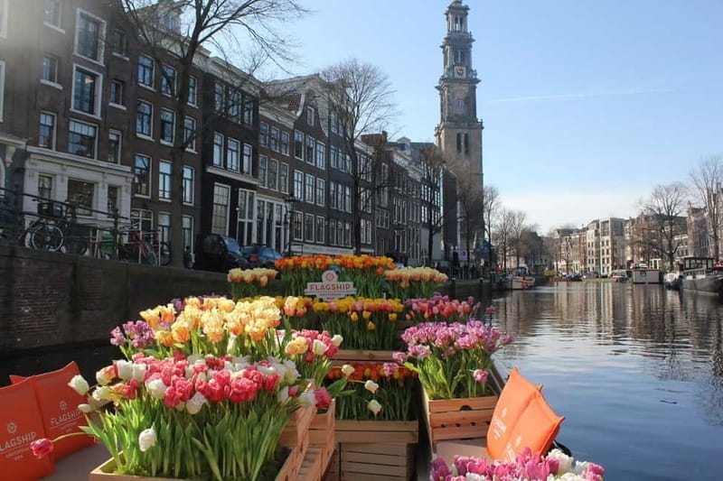 Amsterdam: Premium Tulip Boat Canal Tour - Boarding a 10-seat boat in Amsterdam