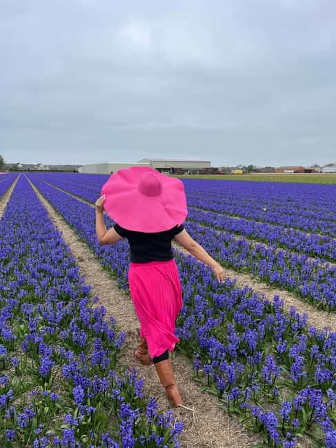 Amsterdam: Private Keukenhof and Free Tulip Tour - The Lisse tulip fields are the photographic bonus