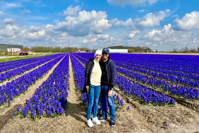 Amsterdam Private Tour to Keukenhof, Tulip Fields and Windmills - The tulip fields beyond the garden gates