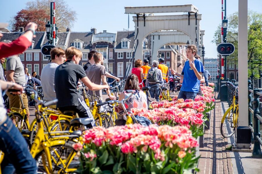 Amsterdam: Relaxed City Highlights Guided Bike Tour - Is $34 a fair price?