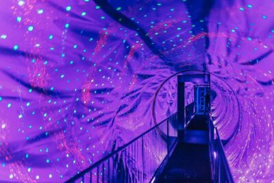 Amsterdam’s Weirdest Museum: Believe It or Not!