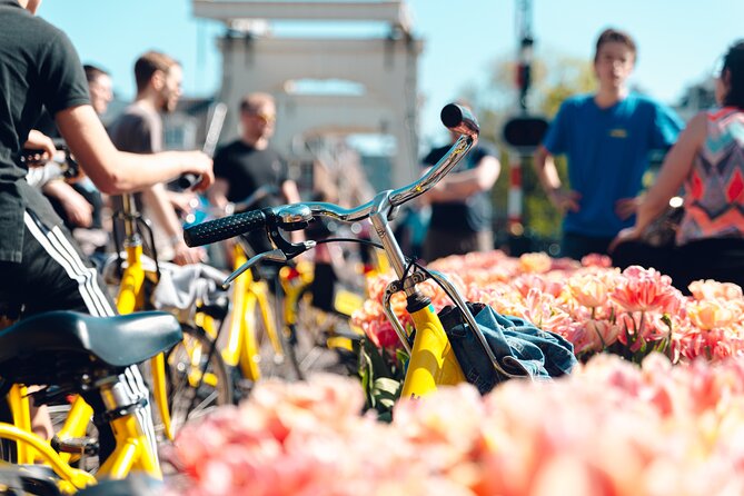 Amsterdam Small Group Bike Tour - Amsterdam in Two Hours: Key Points to Know