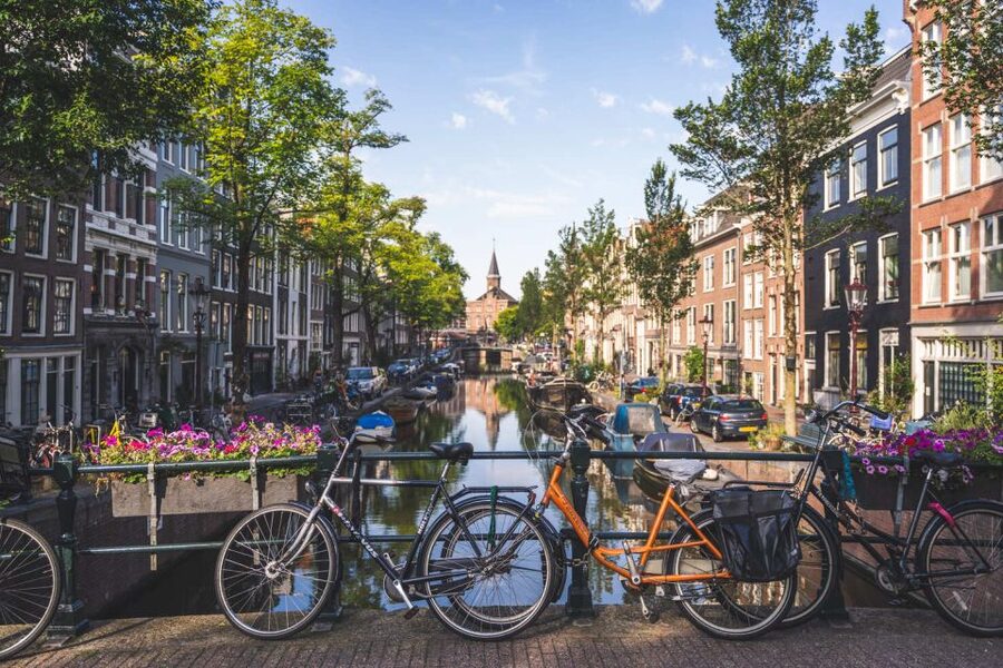Amsterdam Small-Group Walking Tour - Jewish Amsterdam and the weight of the 20th century