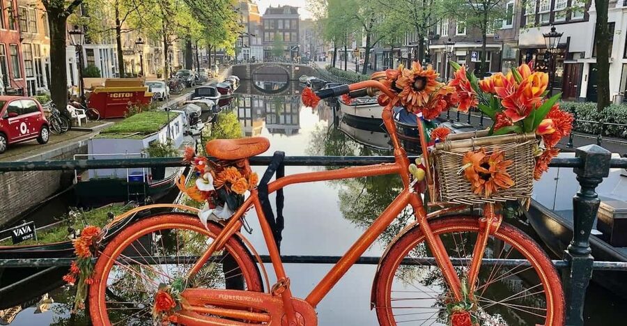 Amsterdam: Small Group Walking Tour with Fun Guide - Starting at the National Monument on Dam Square