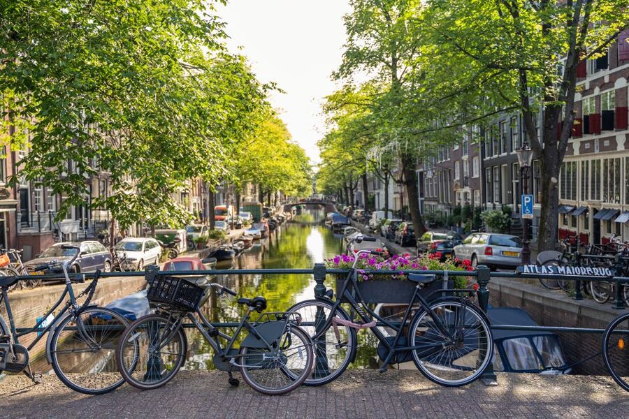 Amsterdam Small-Group Walking Tour - Starting at Beursplein beside the bull