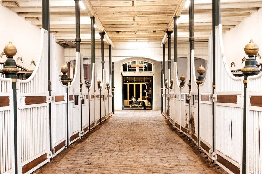 Amsterdam: The 'Hollandsche Manege' Stables Entry Ticket - Key things to know before you go