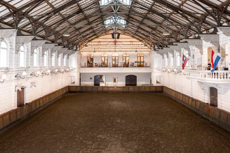 Amsterdam: The 'Hollandsche Manege' Stables Entry Ticket - Seeing the horses in their own stable world