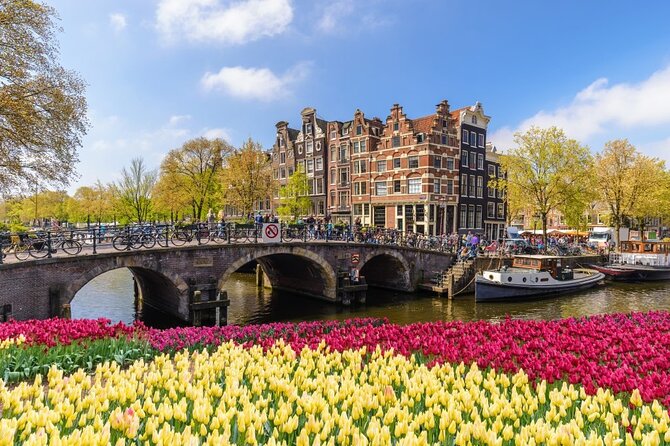 Amsterdam to Schiphol Airport Private Transfer - Is $73.21 per person a fair price?