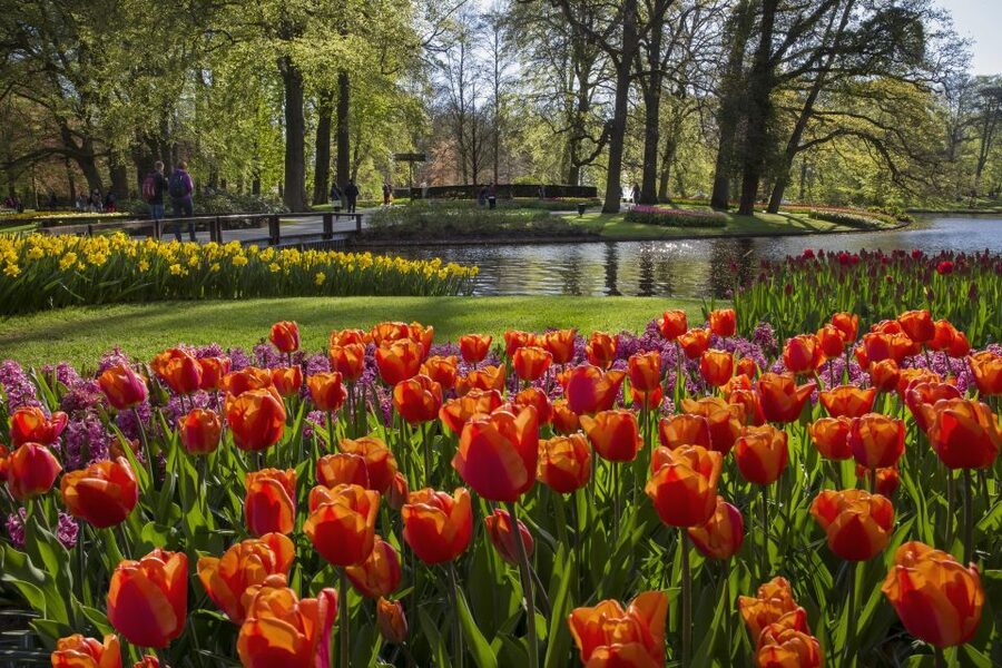 Amsterdam: Tour to Keukenhof Gardens with Windmill Cruise - Returning to Amsterdam without a fixed departure