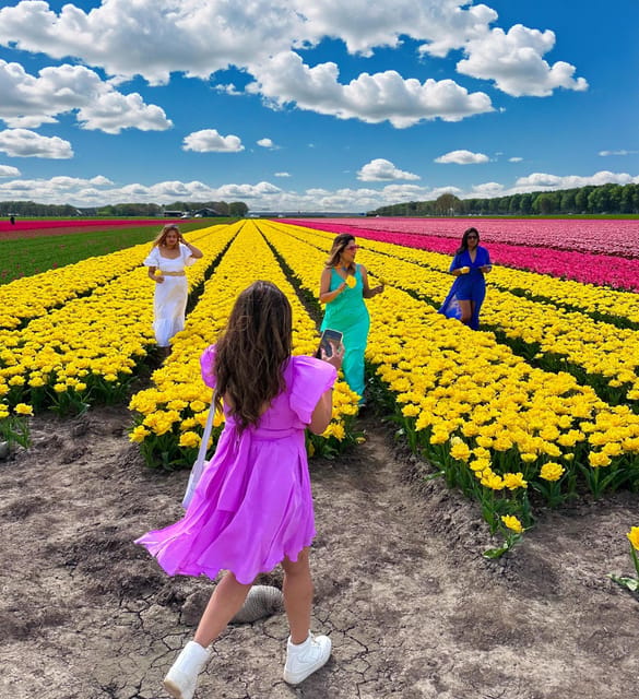 Amsterdam: Tulip Fields Day Tour with Lunch & Windmill - The best parts of the day at a glance