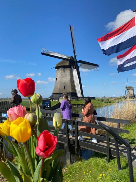 Amsterdam: Tulip Fields Day Tour with Lunch & Windmill - Why this tulip trip is different from a standard garden visit