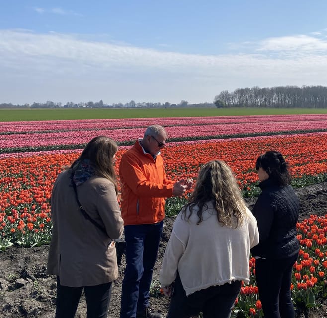 Amsterdam: Tulip Fields Day Tour with Lunch & Windmill - How the six-hour schedule feels