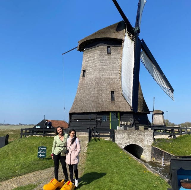 Amsterdam: Tulip Fields Day Tour with Lunch & Windmill - Price and value at $143