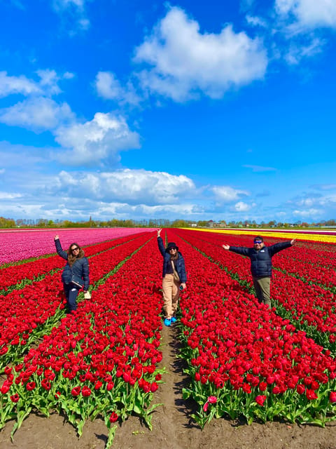 Amsterdam: Tulip Fields Day Tour with Lunch & Windmill - Who should book this outing