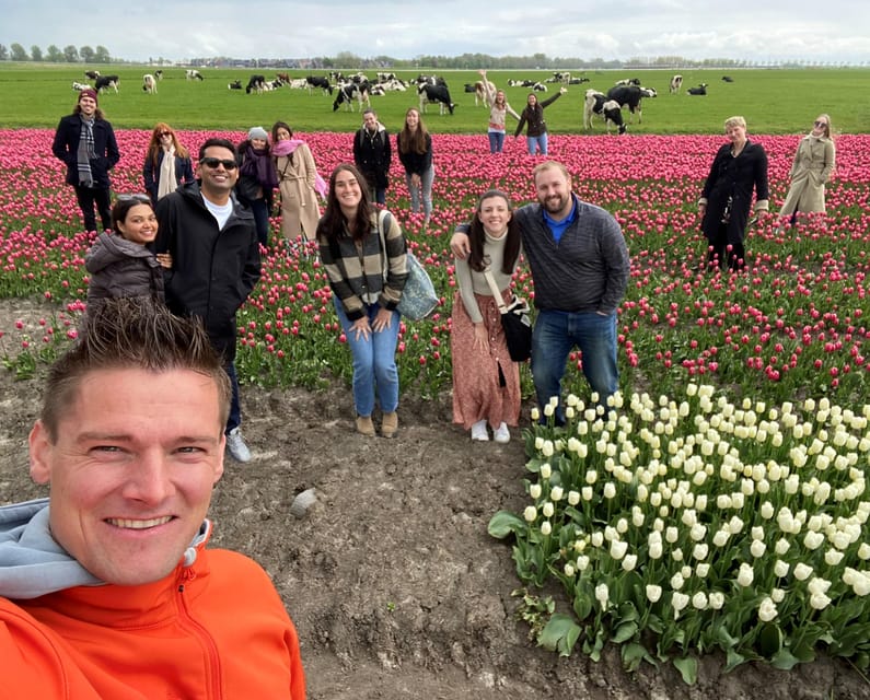 Amsterdam: Tulip Fields Day Tour with Lunch & Windmill - Should you book the Amsterdam tulip fields tour?