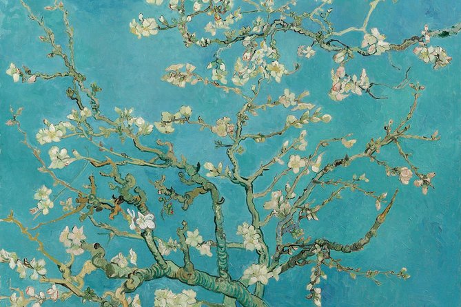 Amsterdam: Van Gogh Museum Entry & 75 minute City Canal Cruise - Picking the right seat and boat