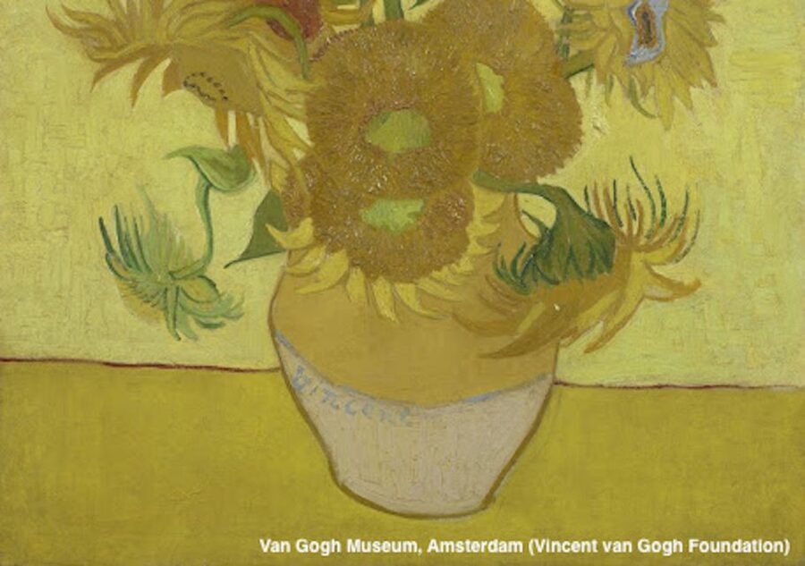 Amsterdam: Van Gogh Museum Guided Tour with Entry - Meeting the green guide on Paulus Potterstraat