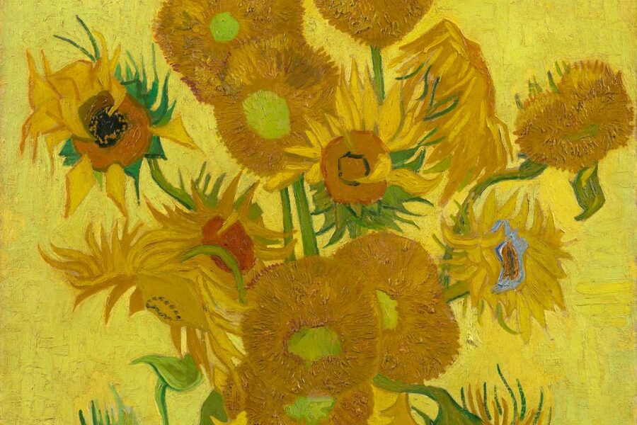 Amsterdam: Van Gogh Museum Ticket - Is $32 Good Value?
