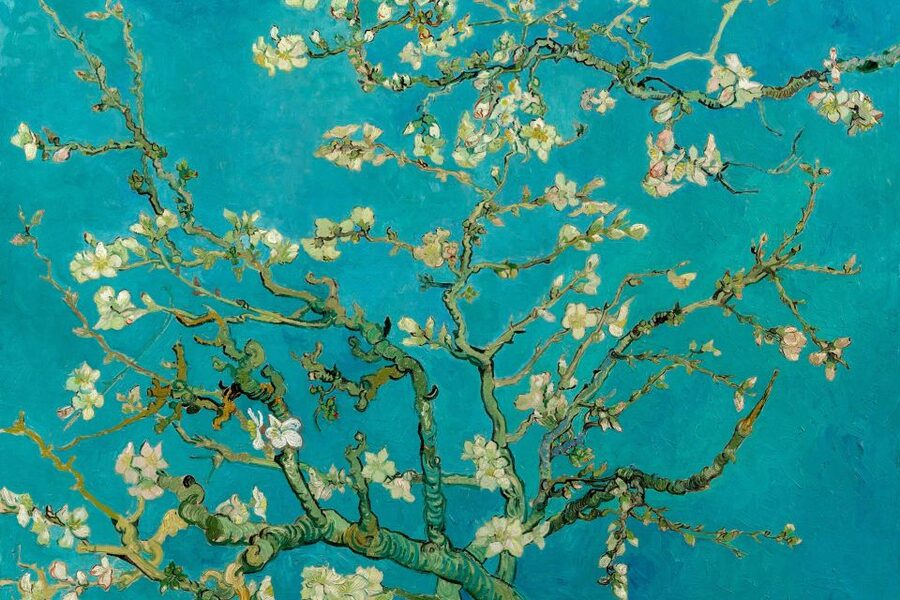 Amsterdam: Van Gogh Museum Ticket and City Canal Cruise - Should you pay extra for the Van Gogh multimedia guide?