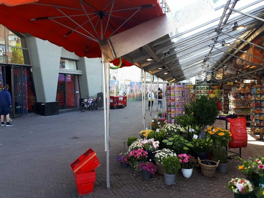 Amsterdam Walking Tour and Canal Cruise - Why this private format works in Amsterdam