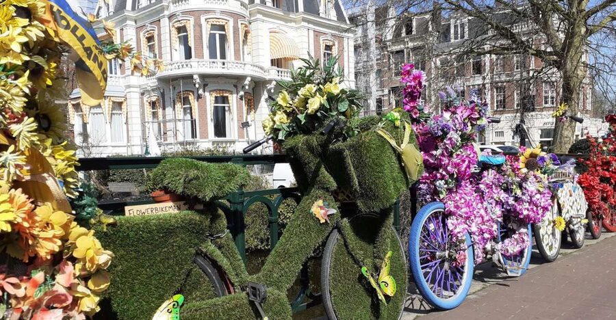 Amsterdam Walking Tour and Canal Cruise - Who should book this experience?