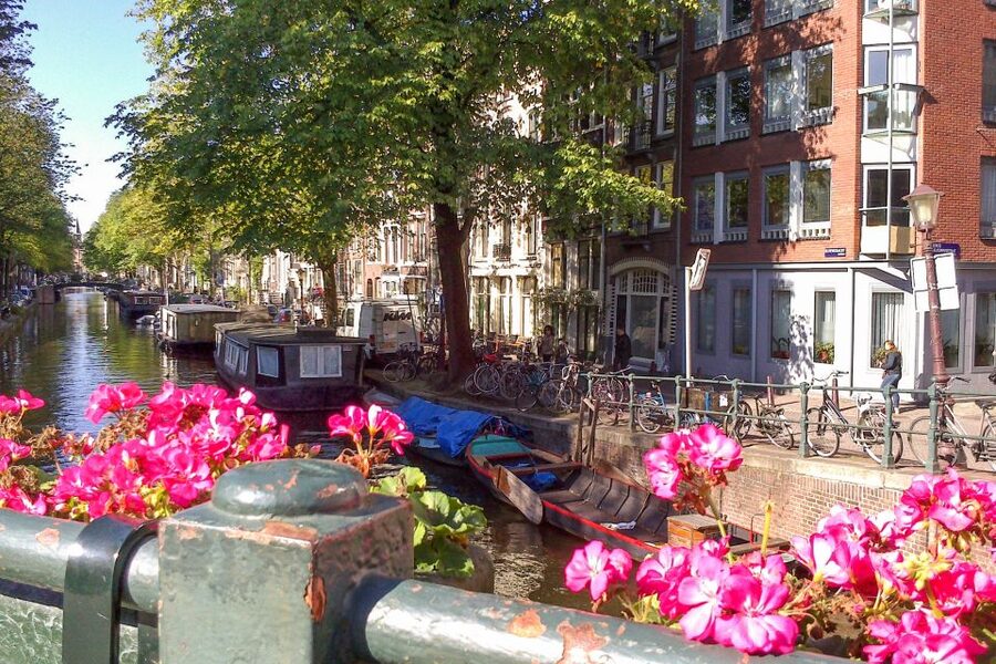 Amsterdam Walking Tour and Canal Cruise - Jordaan and the pleasure of simply walking