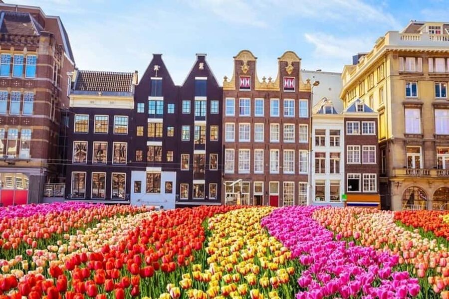 Amsterdam: Walking Tour of Historic Center - Key points at a glance