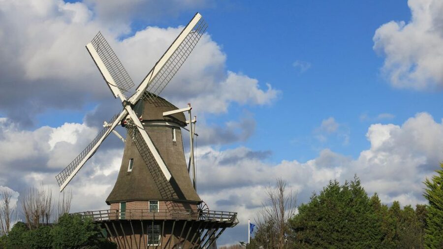 Amsterdam: Windmill Guided Tour - Languages, guides, and the feel of the visit