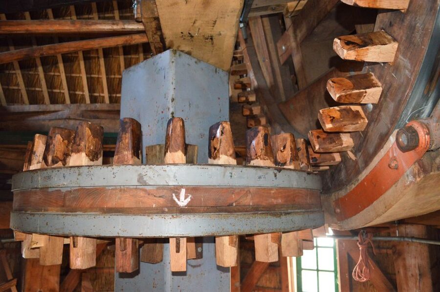 Amsterdam: Windmill Guided Tour - Who will enjoy the Sloten Windmill most?