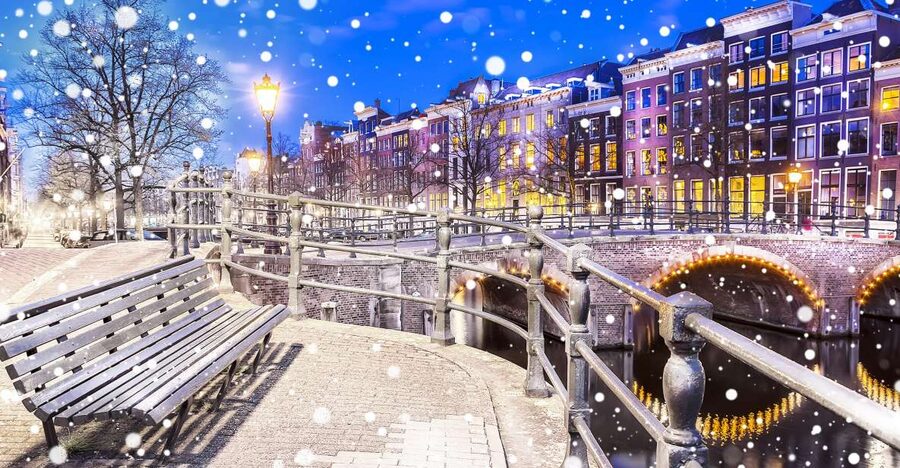 Amsterdam Winter Walking Tour - What the guide adds to the $37 price