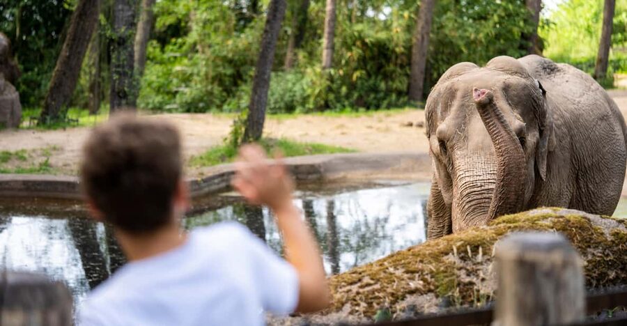 Arnhem: Burgers' Zoo Entry Ticket - Why Burgers’ Zoo feels different