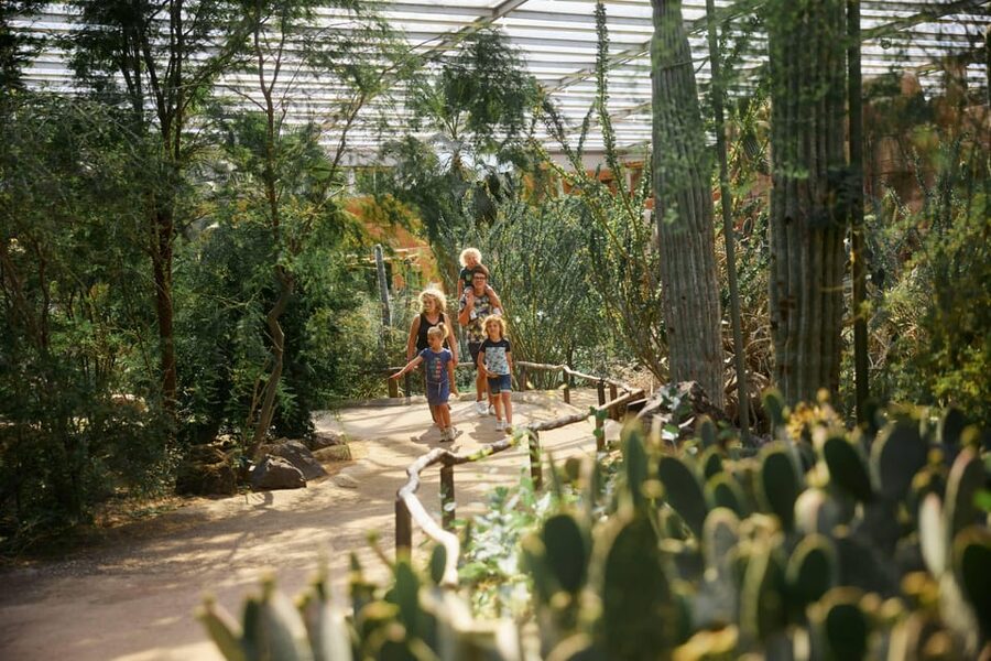 Arnhem: Burgers' Zoo Entry Ticket - Watch giraffes and rhinos on the Safari