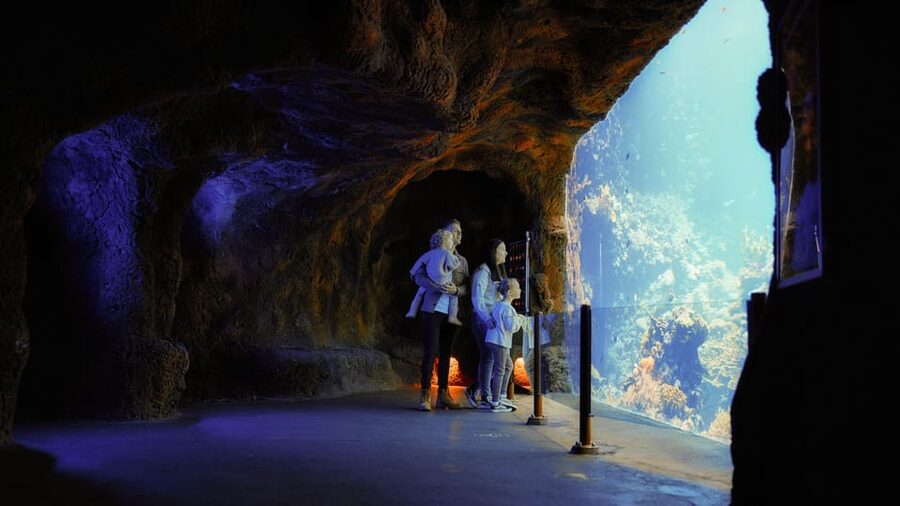 Arnhem: Burgers' Zoo Entry Ticket - Find the Malay rainforest in the Rimba