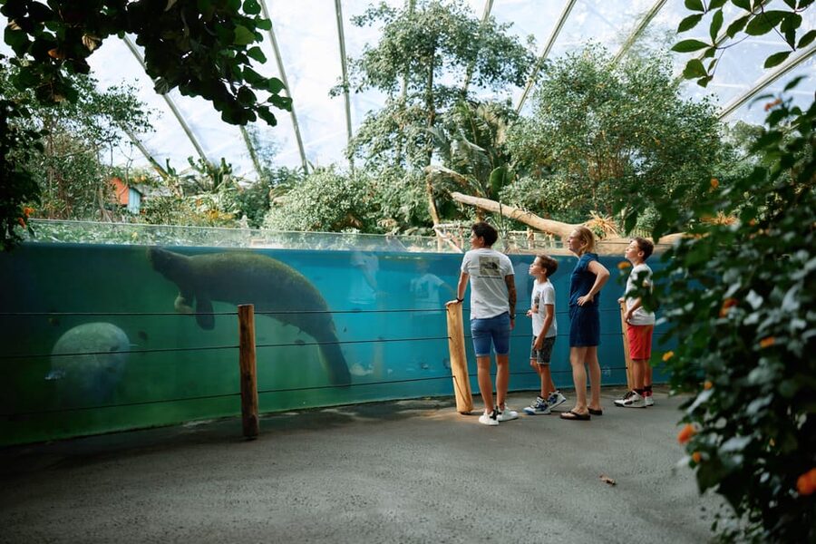 Arnhem: Burgers' Zoo Entry Ticket - Spend time in the Belize-inspired Mangrove