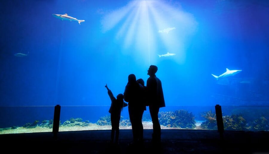 Arnhem: Burgers' Zoo Entry Ticket - Plan the full eight-hour visit wisely