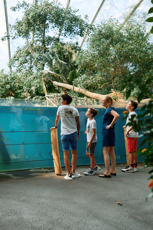 Arnhem: Burgers' Zoo Entry Ticket - Start with the Bush, Burgers’ tropical rainforest