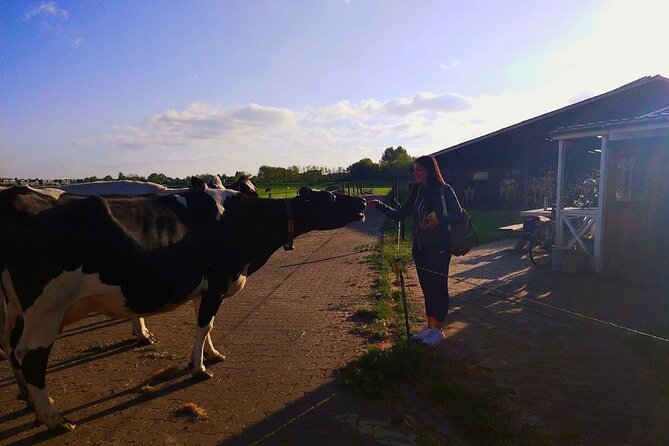 Best of Dutch Countryside: Giethoorn, Windmills, Secret Villages - Giethoorn by boat and on foot