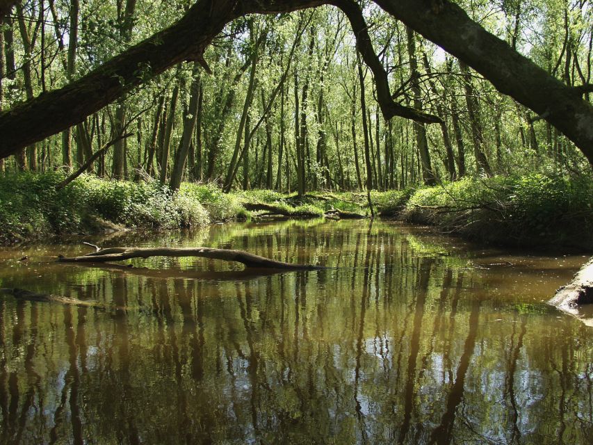 Biesbosch: Boat Cruise through National Park - Key points before you book